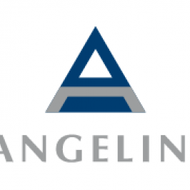 002 angelini